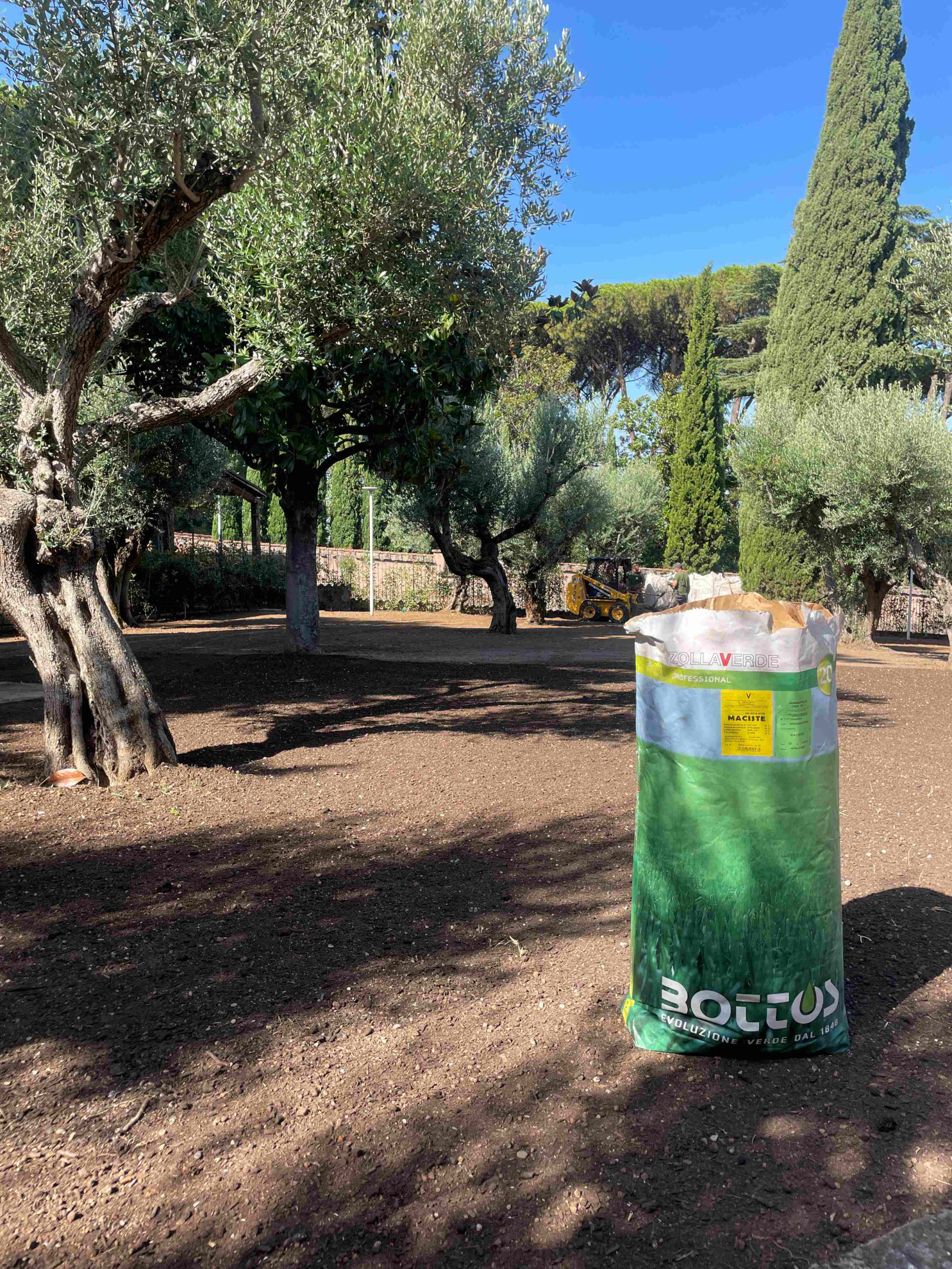 SEMINA TAPPETO ERBOSO